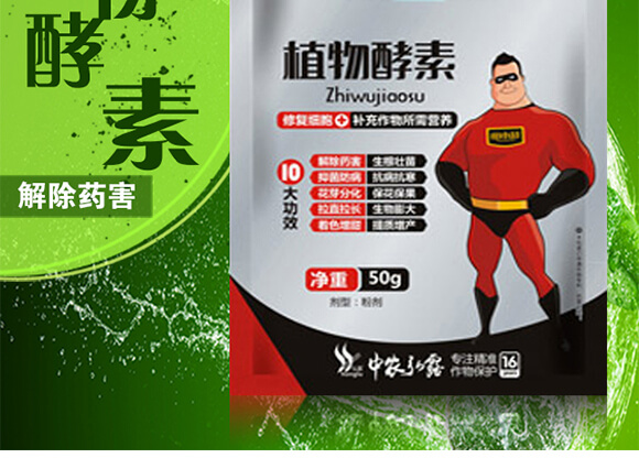 高能植物酵素-田小超_02