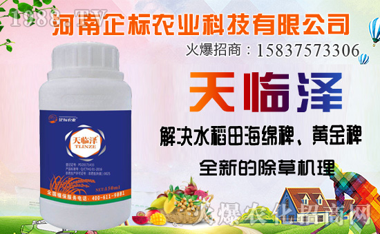 ������������ȷ�������������������݄��Ј�ͻ��20�|��Ԫ