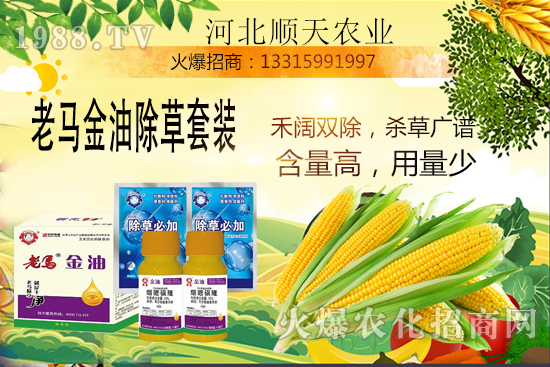 如何提高玉米苗后除草效率？玉米除草關(guān)鍵點(diǎn)大匯總！