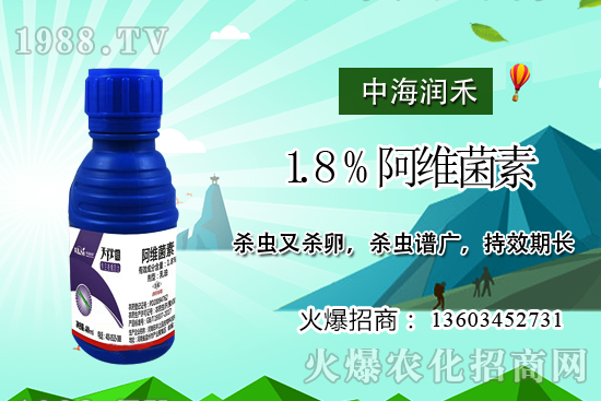 斜紋夜蛾高發(fā)期，防治工作迫在眉睫！斜紋夜蛾如何用藥？