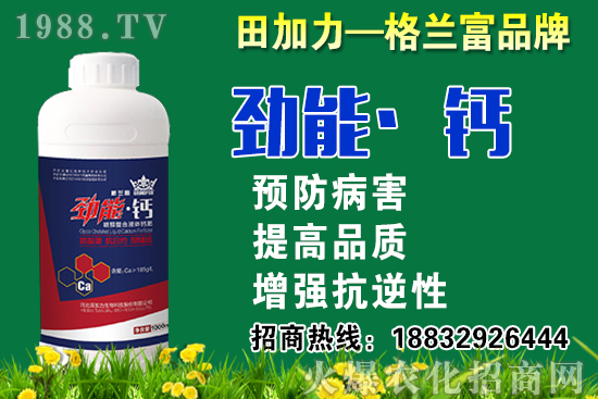 2020秋蘿卜什么時(shí)候種？秋蘿卜種植要注意哪些問題？