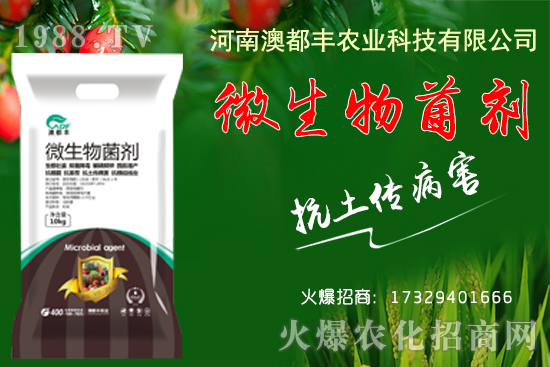 玉米穗期發(fā)育特點有哪些？玉米穗期田間管理要點！