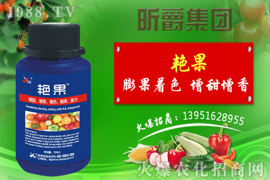 獼猴桃生長(zhǎng)需要哪些元素？八月獼猴桃管理技術(shù)！