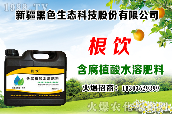 立秋后露地大白菜播種時間，管理需注意什么問題？