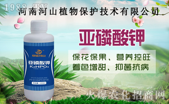 小麥政策加碼！扎堆賣糧！2020年8月14日小麥價(jià)格行情！