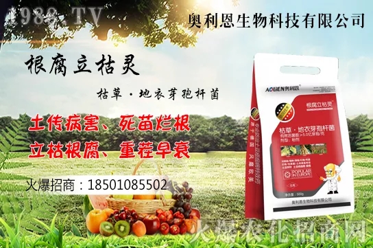 黃花菜什么季節(jié)栽培，黃花菜種植方法介紹！