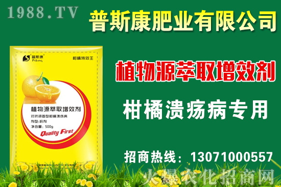 茭白無公害栽培技術(shù)要點，茭白采收標(biāo)準(zhǔn)及方法！