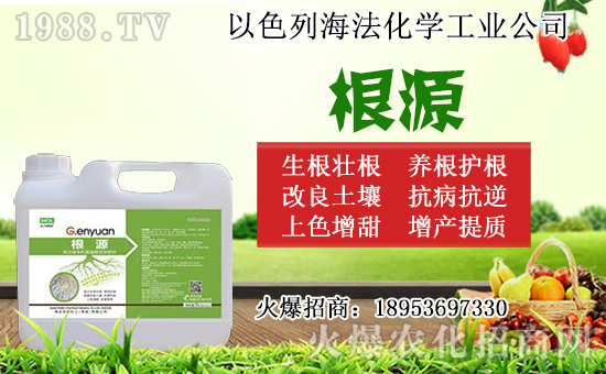 無花果怎么扦插？無花果扦插時間及扦插繁殖方法！