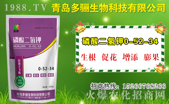 山竹作用與功效有哪些？如何挑選山竹？