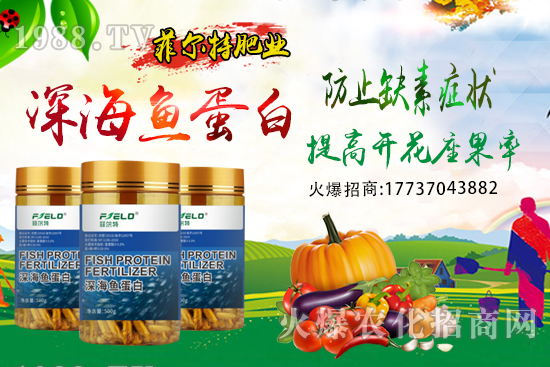 青梗菜種植時(shí)間，青梗菜栽培及管理關(guān)鍵要點(diǎn)！