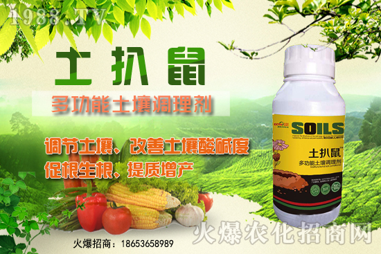 檳榔苗什么時(shí)候種植？檳榔苗怎么選？種植深度怎么算？