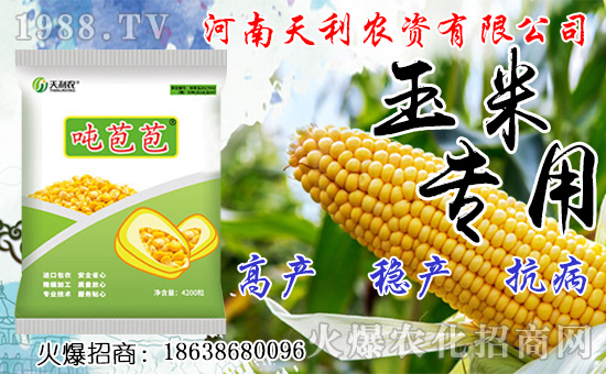 種人參果到底掙不掙錢？種植前景如何？人參果種子怎么種？