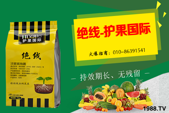 杏樹生長條件有哪些，杏樹栽培管理技術！