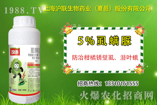 柑橘銹壁虱有什么癥狀？怎么防治？柑橘銹壁虱用藥推薦