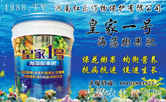 花椒產(chǎn)地主要在哪？花椒價格多少錢一斤？種植前景及效益分析！