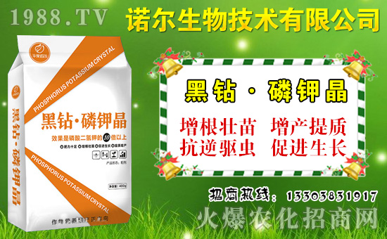 大棚菜豆如何施肥？菜豆需肥特點(diǎn)與施肥技術(shù)！
