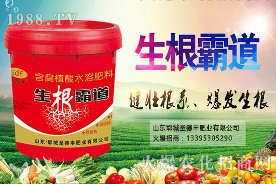 花椒樹種植季節(jié)是什么時候？花椒樹種植技巧有哪些？