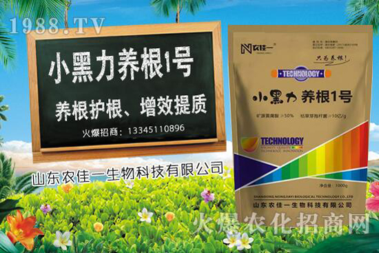 甜椒種植時(shí)如何選用肥料，甜椒施肥方法有哪些？