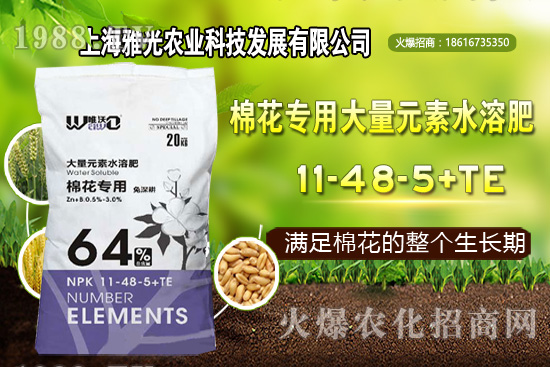 甜椒什么時候種植，甜椒栽培技術(shù)要點！