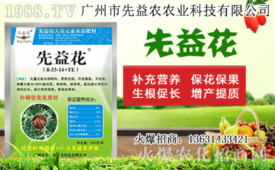 水仙花形態(tài)特征及生長習(xí)性，水仙花栽培方法！