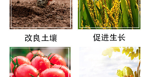 旱可豐（抗旱保水控釋生態(tài)肥+植物營養(yǎng)餐）_05