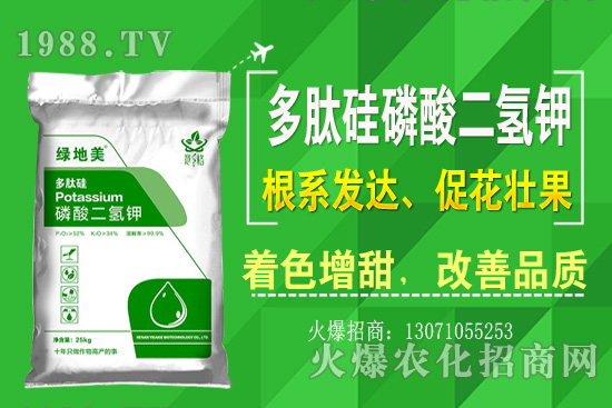 芹菜的優(yōu)良品種有哪些？芹菜種植生長環(huán)境（附種植技術(shù)）