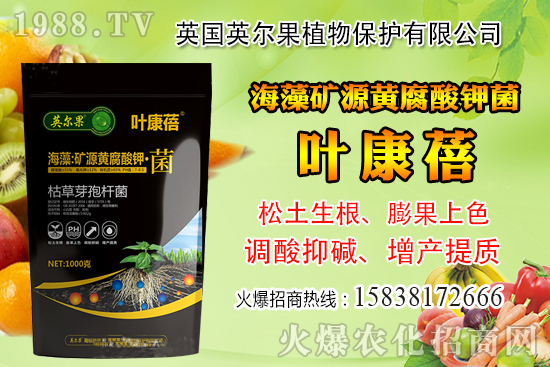 怎么判斷玉米含水量？玉米籽粒含水量感官判定經(jīng)驗！
