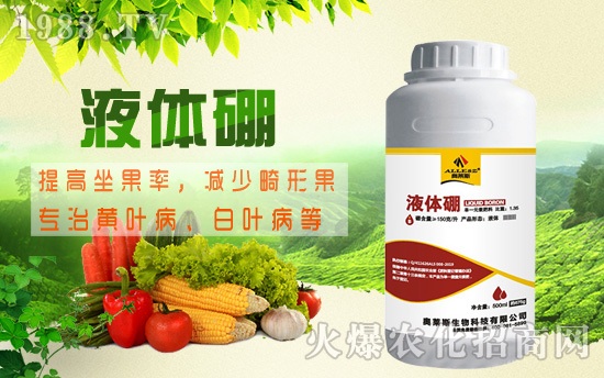 棉花缺硼危害究竟有多大，棉花缺硼癥狀及硼肥施用技術(shù)！