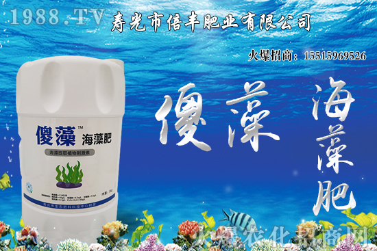 市場逐步回歸正常基本面，大豆價(jià)格沖高回落！