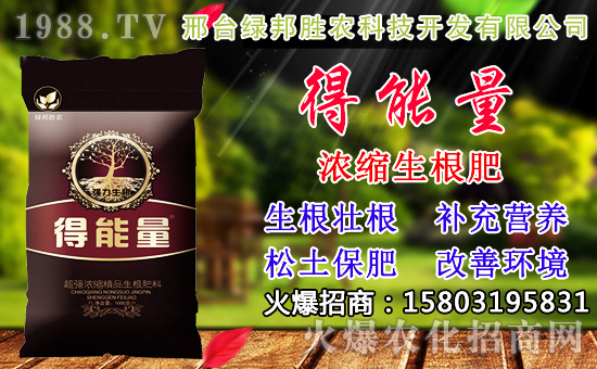 2020年小麥種子如何選？高產(chǎn)小麥品種有哪些？