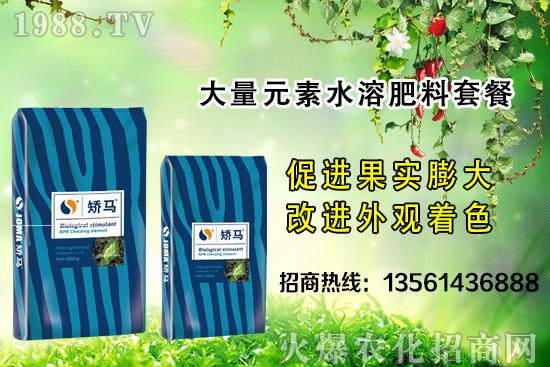 秋季果樹施肥的好處有哪些？秋季果樹施肥指導(dǎo)方案！