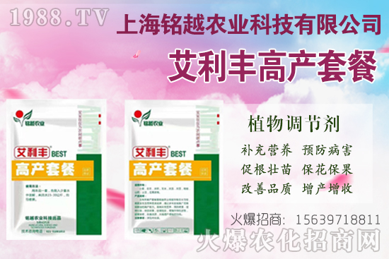 棉花吐絮是什么季節(jié)？常出現(xiàn)問題有哪些？棉花吐絮期管理要點(diǎn)！