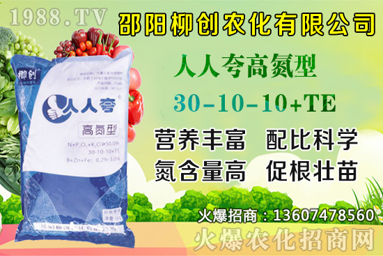 金銀花樹苗怎么種？金銀花樹苗種植技術(shù)及田間管理！