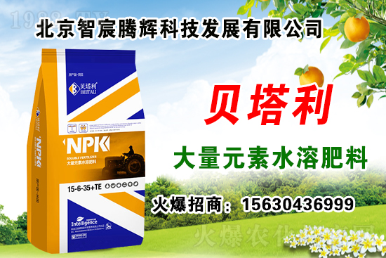 2020年種什么藥材能賺錢(qián)？種植藥材有補(bǔ)貼嗎？哪些藥材有種植前景？