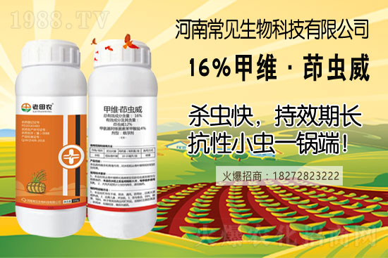 土豆幾月份種合適？（附如種植方法及田間管理）