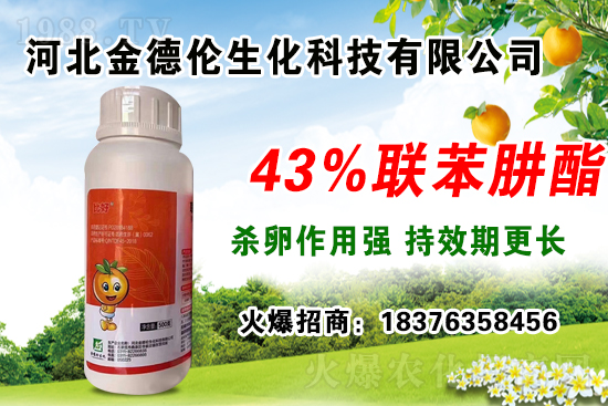 溫室早春茬辣椒育苗應(yīng)注意哪些問(wèn)題