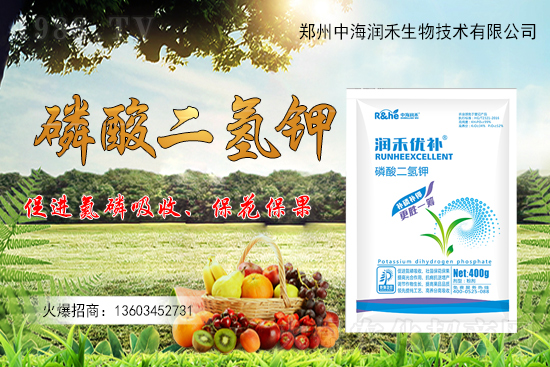 果樹一整年到底該怎么施肥？果樹施肥注意事項有哪些？