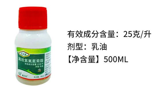 25克每升高效氯氟氰菊酯-今天凈-鑫正虹_02