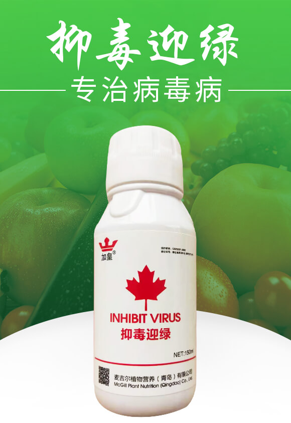 抑毒迎綠（專治病毒?。?綠肥_01