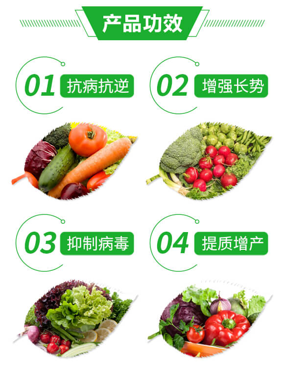 抑毒迎綠（專治病毒?。?綠肥_03