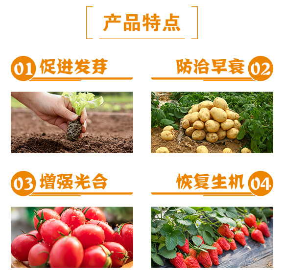 綠葉型深海魚蛋白-貝多豐_03