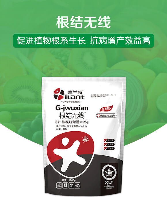 ���Y�o��-ϲ�m��_01