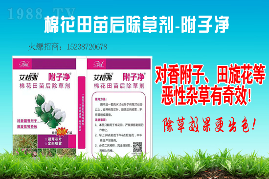 2021年1月30日除草劑原藥價(jià)格