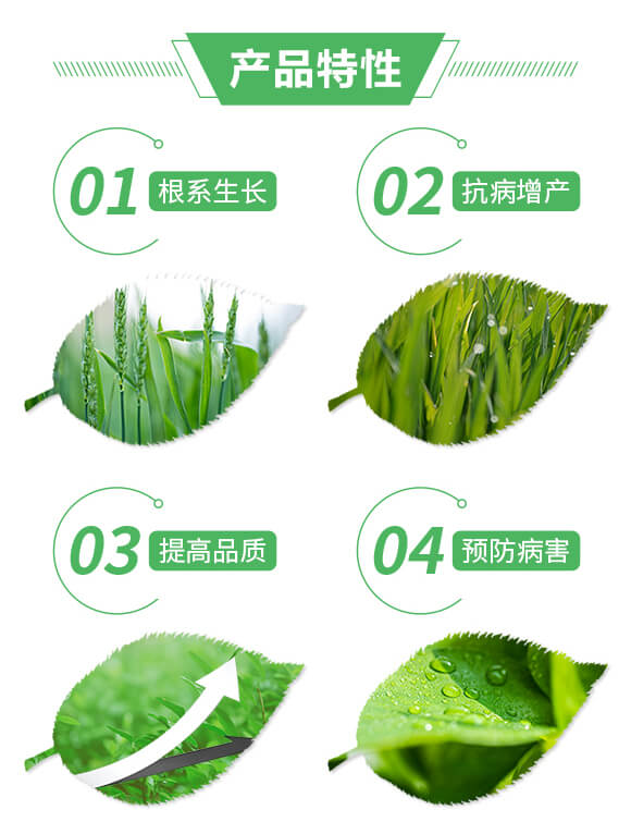 ���Y�o��-ϲ�m��_02