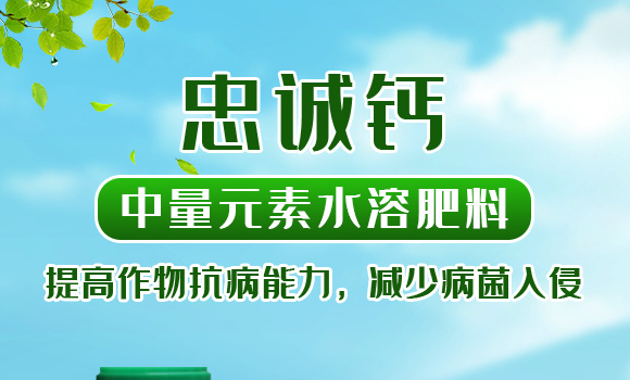 有機(jī)水溶肥料-忠誠(chéng)鎂-先益農(nóng)_01