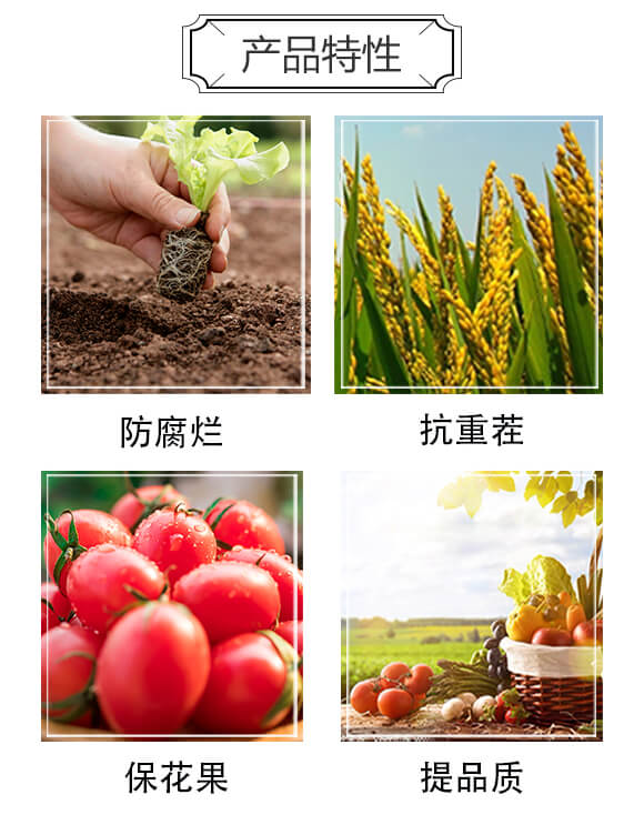 含生物菌腐植酸水溶肥料-21菌-科達農(nóng)化_02