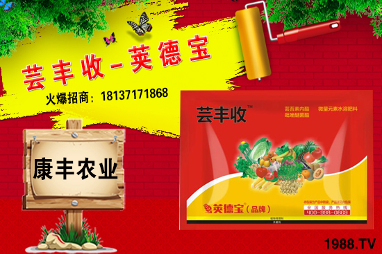 冬季要不要給小麥澆越冬水？小麥冬灌什么時(shí)候合適？