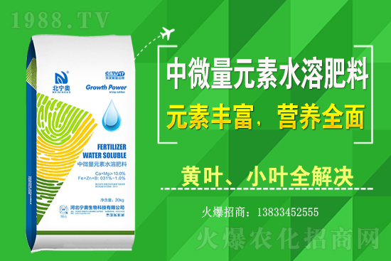 黃花菜該怎么種植？黃花菜種植過程需注意哪些問題？