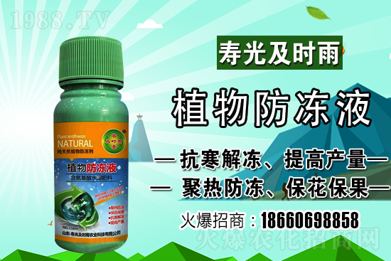今日小麥價格上漲！到底會漲到多少錢一斤？
