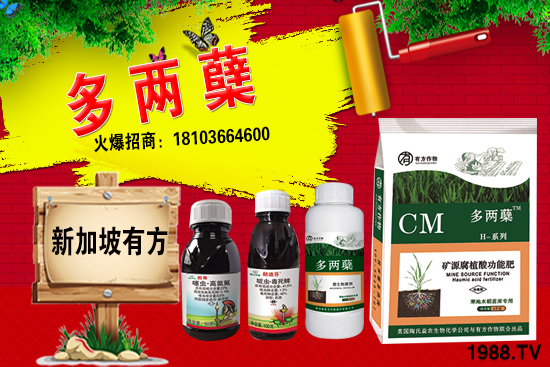 2021葡萄柚種植前景如何？葡萄柚和普通柚子有何區(qū)別？